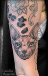 camilla_memento_tattoo_cat_sphynx_realistic_blackgrey_tatovering.jpg